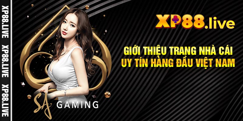 Giới Thiệu Trang Nhà Cái Uy Tín Hàng Đầu Việt Nam